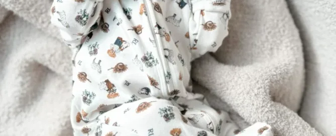 enzo